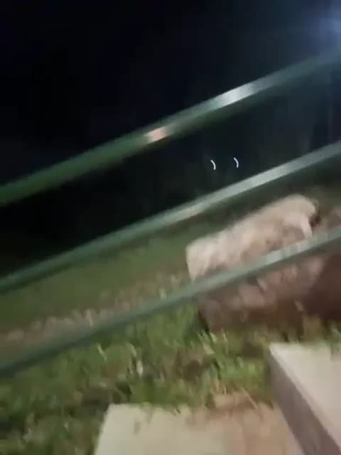 Saved: Debby_ryann Broadcast (May 7, 2026 06:51, 42min)
