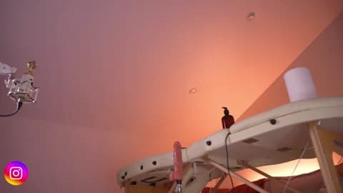 Saved: Lilevame Broadcast (January 17, 2026 19:58, 120min)