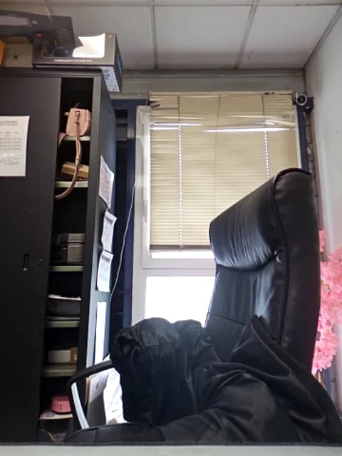 Saved: Sarajaymicorazon088 Broadcast (April 15, 2026 14:12, 120min)