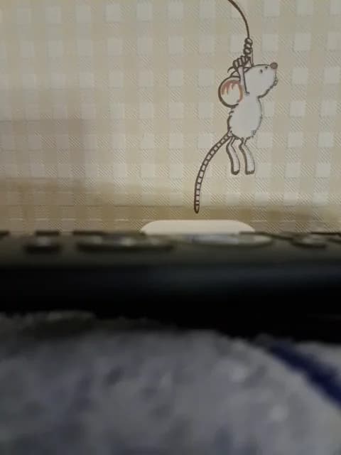 Saved: SweetPraGG Broadcast (February 2, 2026 23:09, 36min)