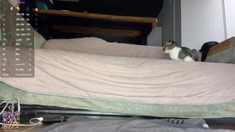 Saved: SweetSakuraJane Broadcast (April 1, 2026 02:33, 83min)