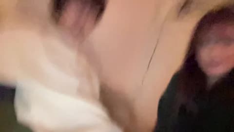 Saved: bkws985 Broadcast (February 21, 2026 04:12, 60min)