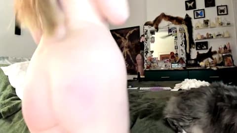 Saved: eve003300 Broadcast (February 21, 2026 04:17, 90min)