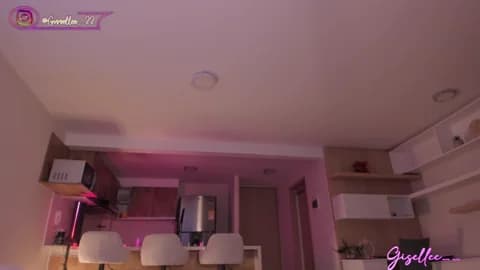 Saved: gisellee__ Broadcast (March 29, 2026 03:25, 120min)