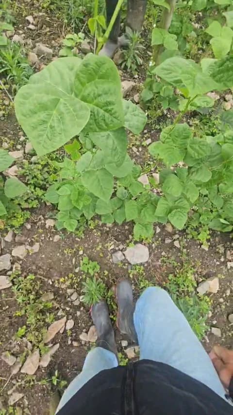 Saved: jo23_xxx Broadcast (April 9, 2026 16:46, 41min)