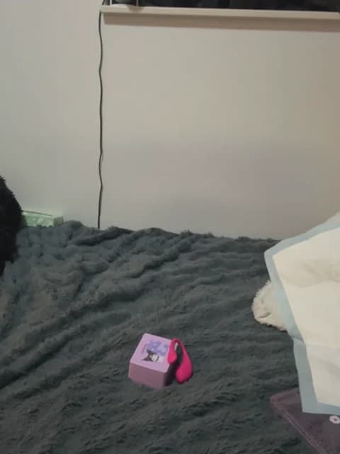 Saved: jura_xxx Broadcast (May 7, 2026 11:48, 31min)