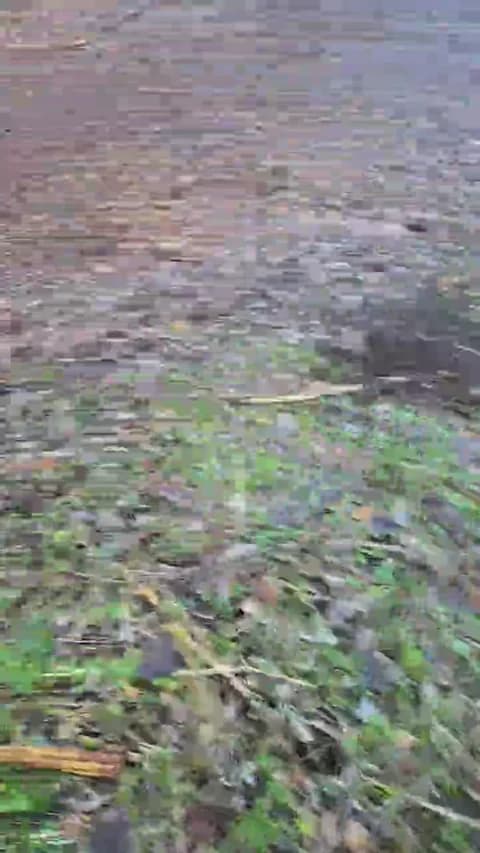 Saved: likescock5 Broadcast (January 16, 2026 16:36, 64min)