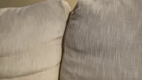 Saved: martinabigst Broadcast (January 16, 2026 16:16, 34min)